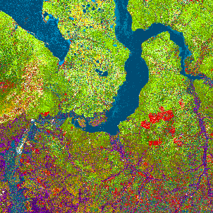 land-cover-classification-s1-s2-globpermafrost